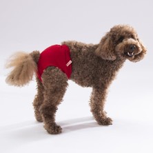 Happy Trend Kedi-Köpek Çamaşırı Regl Kilodu Kırmızı Tek Ebat