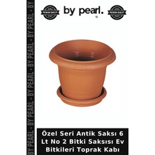 Özel Seri Antik Saksı 6 Lt No 2 Bitki Saksısı Ev Bitkileri Toprak Kabı