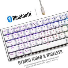 Universal Bluetooth 4.0 SK622 Kablosuz% 60 Şerit Beyaz Mekanik Klavye, Düşük Profilli Kırmızı Anahtarlar, Yeni ve Geliştirilmiş Tuş Kapakları ve Fırçalanmış Alüminyum Tasarım