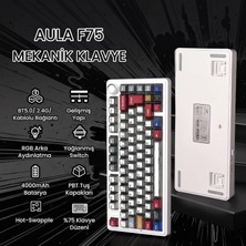 Universal F75 Mekanik Rgb Tkl Graywood V4 Switch Kablosuz Makrolu Hot Swap Türkçe Q Klavye Comic