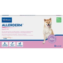 Universal Allerderm Spot Açık (Boyut: 6 x 4ml)