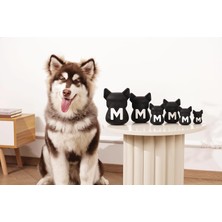 Universal Power Chew Kauçuk Köpek Ödül Oyuncağı Jet (M)