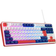 Universal Clicky Tkl Mekanik Hisli Rgb Q Membran Oyuncu Klavyesi