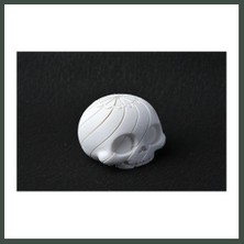 Bezos 3D Baskı Kafatası Fidget Uzayan Spiral Kafatası Stres Oyuncağı Cadılar Bayramı Dekoru Beyaz Nhr