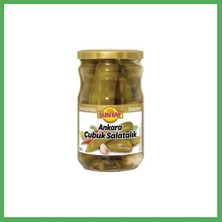 Astraltech Suntat Çubuk Turşu 660 gr Bezoss