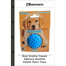Özel Üretim Yaşam Eğlence Dostluk Köpek Oyun Topu