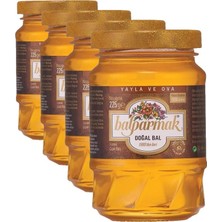 Defne Store Yayla ve Ova Çiçek Balı 225 G (4 Paketi)
