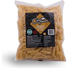 Defne Store Organik Kalem Makarna 500 G