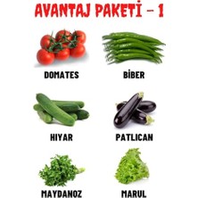 Defne Store Tohum Dünyam Avantaj Paketi-1 Domates, Hıyar, Biber, Patlıcan, Maydanoz, Marul Tohumları, Toplam +300 Adet Tohum