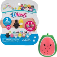 Squishmallows Figbands 2'li Sürpriz Paket BNDS00003
