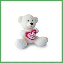Astraltech PL50231 55 cm Ayı I Love Kalpli Bezoss