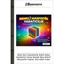 Özel Seri Geometrik Şekil Zeka Geliştirici 5mm Renkli Neo Sihirli Manyetik Toplar 216 Adet Cube