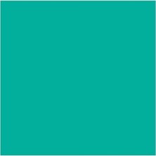Nzm Store Albrecht Dürer Aqurell Suluboya Kalemi 161 Phthalo Green (Fitalik Yeşil)
