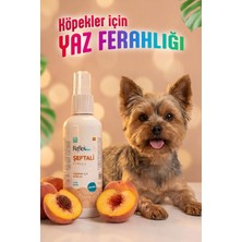 Nzm Store Care Şeftali Kokulu Köpek Kolonyası 125 ml