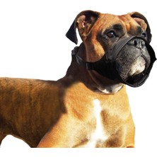 Nzm Store Köpek Ağızlığı Özel