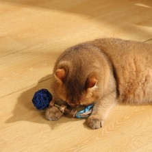 Nzm Store Charmy Amulet Matatabi Kedi Oyuncağı Blue