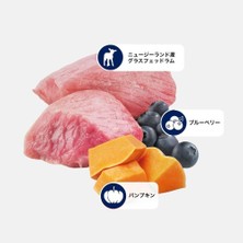 Nzm Store Pumpkin Kuru Köpek Maması, Tahılsız, Kuzu ve Yabanmersinli, Yavru Köpek Mini, 2.5kg
