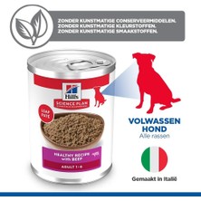 Nzm Store Hills Biftekli Köpek Konserve Maması 370 gr