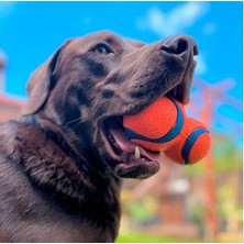 Nzm Store Ultra Tumbler Köpek Oyun Topu