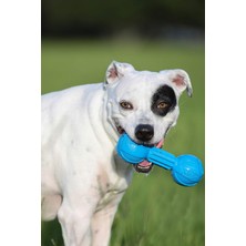 Nzm Store Çiğnenebilir Halter Köpek Oyuncağı, Hafif, Dayanıklı ve Suya Dayanıklı, 18 Cm, Orta/büyük Irklar Için, Iki Paket, Mavi ve Yeşil (8953)