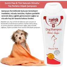 Nzm Store Köpek Şampuanı Doğal Kavun Özlü 400 ml