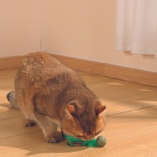 Nzm Store Charmy Bugbear Catnipli Kedi Oyuncağı Green
