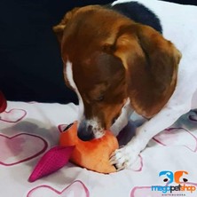 Nzm Store Peluş Oyuncak - Little Monster Orange