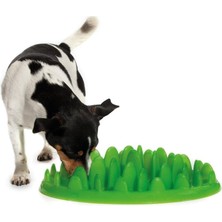Nzm Store Green Mini Etkileşimli Yavaş Köpek Besleyici
