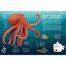Nzm Store Su Altı Atlası (Ciltli)