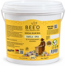 BEE'O Beeo Yayla Ova Doğal Ham Süzme Çiçek Balı 4 kg