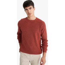 DeFacto Standart Fit Bisiklet Yaka Basic Uzun Kollu Triko Kazak A8458AX25WN