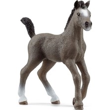 Schleich C De Selle Francais Tay 13957