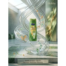 Hobby Kolajen Biotin Şampuan 480 ml Kuru ve Cansız Saçlar Için