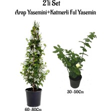 Bitkim Sende Kokulu Bahçe Seti, Arap Yasemini + Katmerli Ful Yasemin Çiçeği Fidanı, 2'li Set