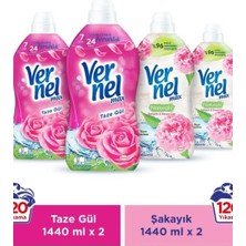 Bomii Max Konsantre Çamaşır Yumuşatıcısı 4 x 1440 ml (240 Yıkama) 2 Taze Gül + 2 Şakayık