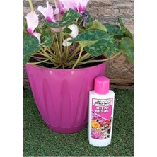 Bomii Bitki Besini 1 Adet 225 ml Çiçekli Bitkilere Özel Çiçek Açtıran Sıvı Gübre Çoşturan Vitamin, 752001245455