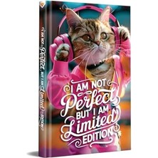 Bomii Not Defteri, Müzik Dinleyen Kedi Tasarımlı Çizgili 13X21 cm Sert Kapak 192 Sayfa