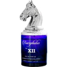 Armaf Bucephalus No. Xıı  Edp 100 ml Erkek Parfümü