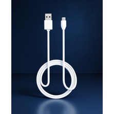 Astraltech S02 Micro USB Kablo 3m 2.4A