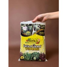 Tr Tropikal Kaktüs ve Sukulent Toprağı 2,5 Litre, Cocopeat, Dere Kumu, Kil Bilyesi ve Perlit Içeren Hazır Karışım, Yüksek Drenajlı Kaktüs Toprağı, Dezenfekte Edilmiş