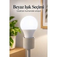Tekn Uzaktan Kumandalı Rgb LED Ampul Tekn Najmaddin