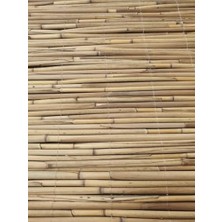 Ceylan Adam Greenosier Doğal Hasır Kamış Gölgelik Dekorasyon Balkon Teras Pergola Bahçe 50 cm x 2metre
