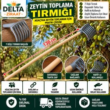 Delta Ziraat 7 Dişli Zeytin Toplama Tırmığı ve  Ahşap Sap