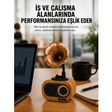 Astraltech If Kablosuz Retro Radyo Hoparlör 5W Güçlü Ses USB Hafıza Kart Destekli Yeni Nesil