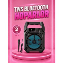 Astraltech If Taşınabilir 6.5” Bluetooth Hoparlör USB Tf Kart Mikrofonlu Şarjlı Sistem