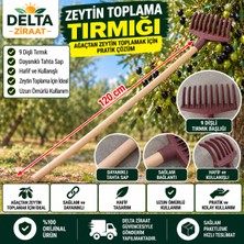 Delta Ziraat 9 Dişli Zeytin Toplama Tırmığı ve  Ahşap Sap