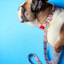 Str Store Design Köpek Gezdirme Kayışı – Geri Dönüştürülmüş, Kadifemsi Dokulu, Çift Kilitli Karabina Kanca, 360° Dönüşlü, Dayanıklı & Şık Tasarım,travel,large