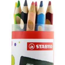 Str Store Easycolors - Ergonomik Kuru Boya Kalemi - 12 Renkli Tüp - Sol