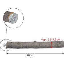 Str Store Doğal Ağaç Papağan Kuş Tüneği Tünek Boy 20 cm