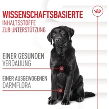 Str Store Digestion Chews Yetişkin Köpekler Için Sindirim Sistemini Destekleyen Tamamlayıcı Ödül Maması 160G